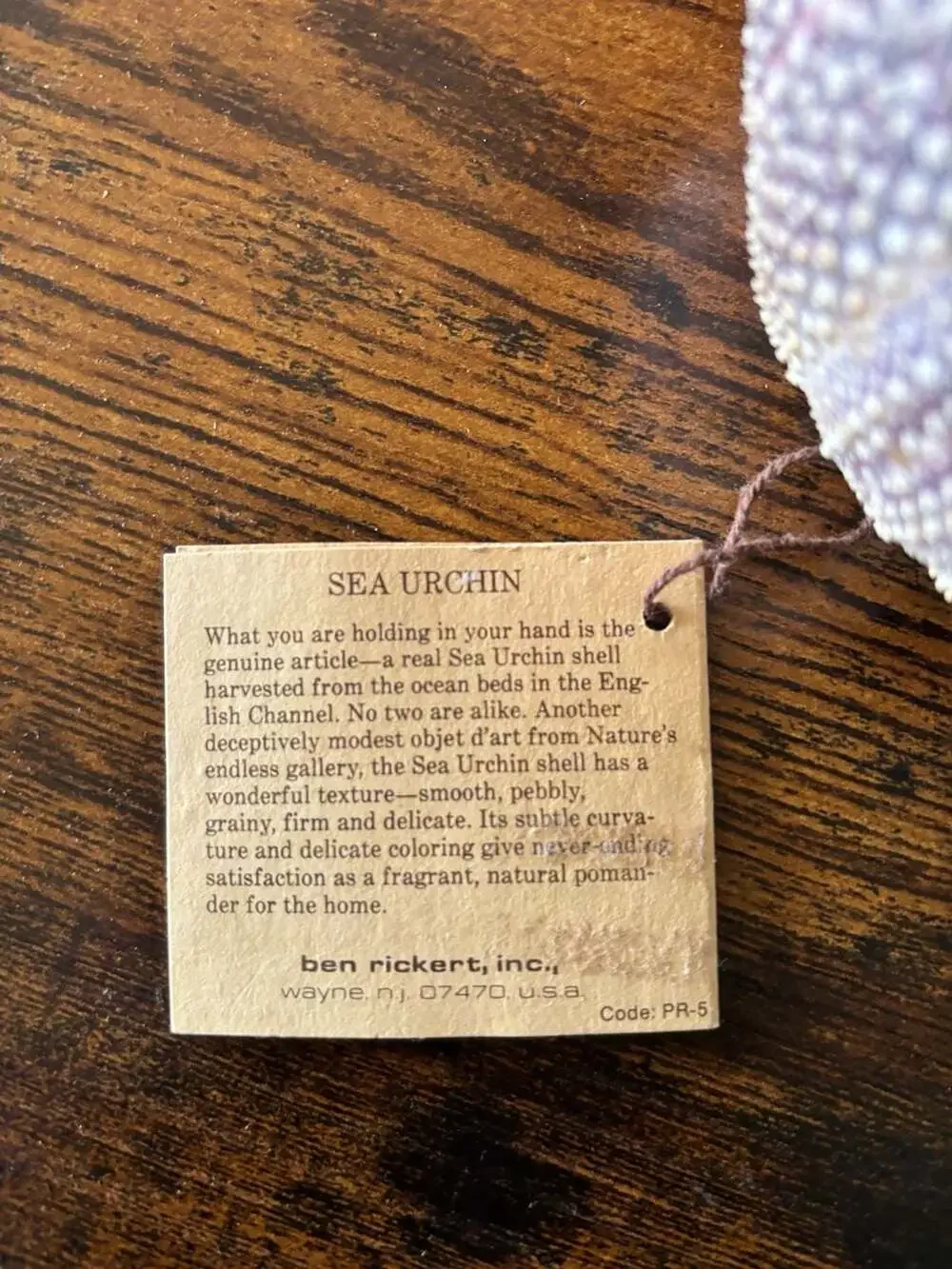 Vintage Ben Rickert Natural Sea Urchin Pomander Fragrance Decor - Picture 2 of 4